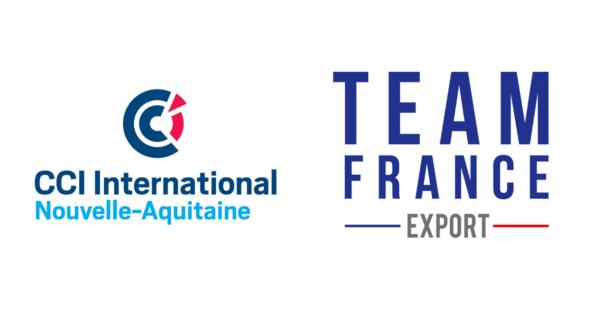 Atelier-présentation-CCI-TeamFranceExport